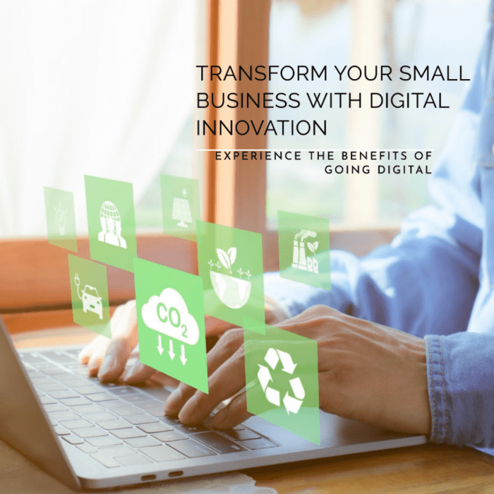 Examples of Digital Transformation in Business Success
